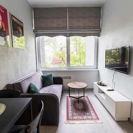 Beautiful And Modern Loft Next To The Old Town Апартаменты Вильнюс